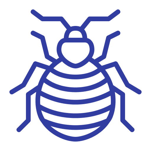 Bed Bugs