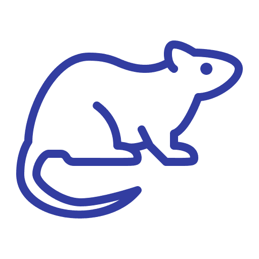 Rodent